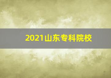 2021山东专科院校