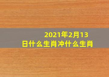 2021年2月13日什么生肖冲什么生肖