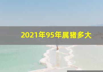 2021年95年属猪多大