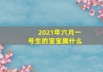 2021年六月一号生的宝宝属什么