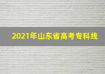 2021年山东省高考专科线