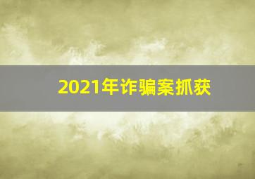 2021年诈骗案抓获