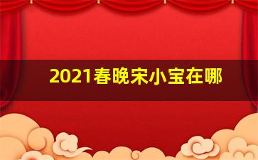 2021春晚宋小宝在哪