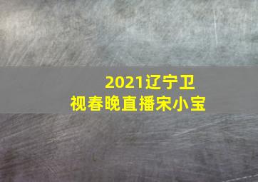 2021辽宁卫视春晚直播宋小宝