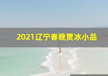 2021辽宁春晚贾冰小品