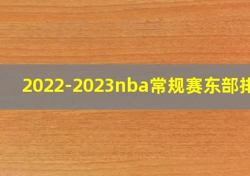 2022-2023nba常规赛东部排行