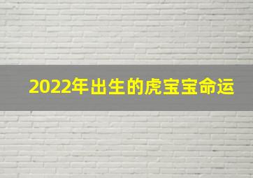 2022年出生的虎宝宝命运