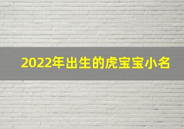 2022年出生的虎宝宝小名