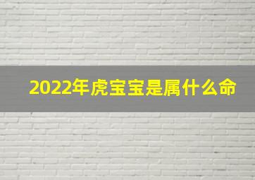 2022年虎宝宝是属什么命