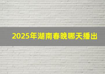 2025年湖南春晚哪天播出