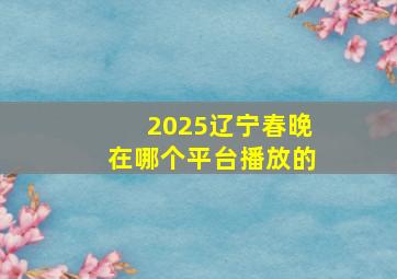 2025辽宁春晚在哪个平台播放的