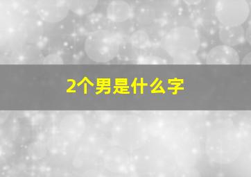 2个男是什么字