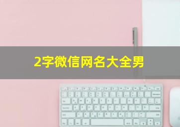 2字微信网名大全男