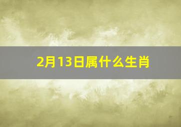 2月13日属什么生肖