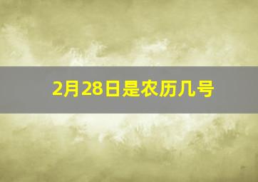 2月28日是农历几号