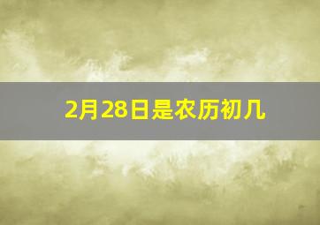 2月28日是农历初几