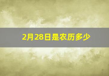 2月28日是农历多少