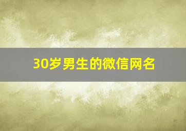 30岁男生的微信网名