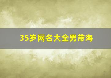 35岁网名大全男带海