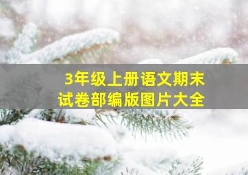 3年级上册语文期末试卷部编版图片大全