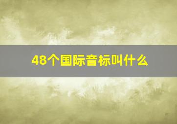 48个国际音标叫什么