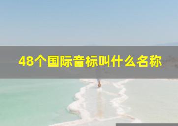 48个国际音标叫什么名称