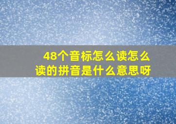 48个音标怎么读怎么读的拼音是什么意思呀