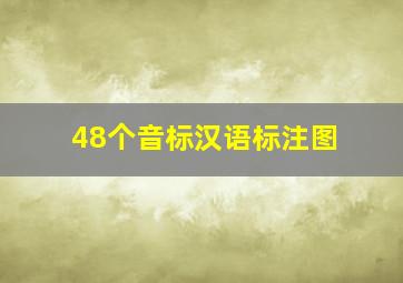 48个音标汉语标注图