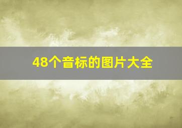 48个音标的图片大全