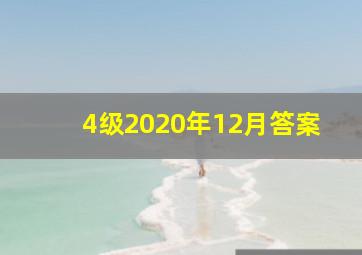 4级2020年12月答案