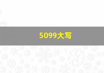 5099大写