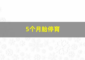 5个月胎停育