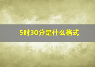 5时30分是什么格式