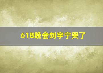 618晚会刘宇宁哭了