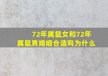 72年属鼠女和72年属鼠男婚姻合适吗为什么