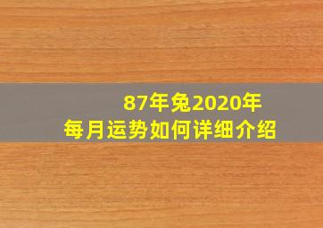 87年兔2020年每月运势如何详细介绍