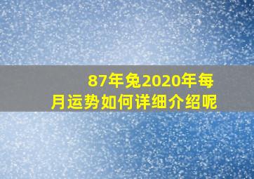 87年兔2020年每月运势如何详细介绍呢