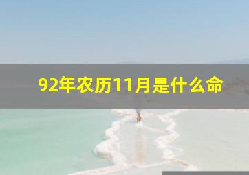 92年农历11月是什么命