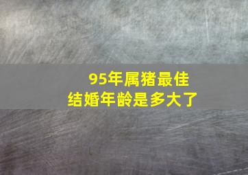 95年属猪最佳结婚年龄是多大了