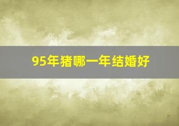 95年猪哪一年结婚好