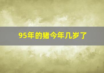 95年的猪今年几岁了