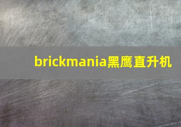 brickmania黑鹰直升机