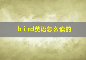 bⅰrd英语怎么读的