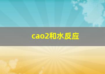 cao2和水反应