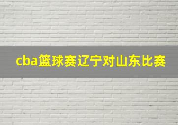 cba篮球赛辽宁对山东比赛