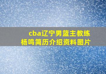 cba辽宁男篮主教练杨鸣简历介绍资料图片