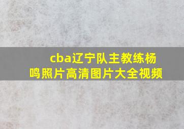 cba辽宁队主教练杨鸣照片高清图片大全视频