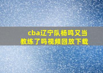 cba辽宁队杨鸣又当教练了吗视频回放下载