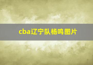 cba辽宁队杨鸣图片