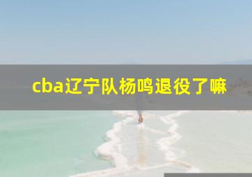 cba辽宁队杨鸣退役了嘛